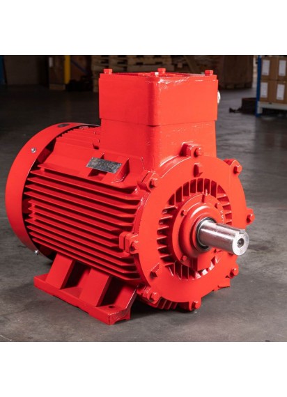 TCD YBX3 EX db FLAMEPROOF MOTOR